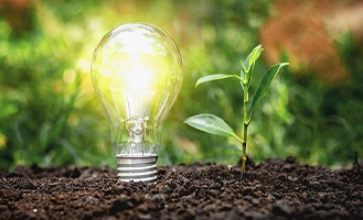 Bioenergy