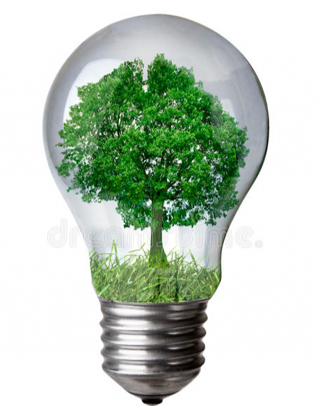 bioenergy