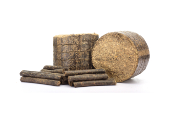 Bioenergy